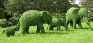 Полюбуешься: на Спивочем поле откроется необычная летняя выставка