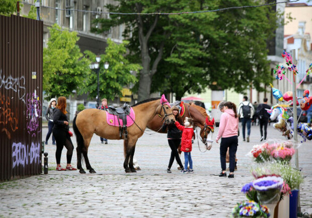 В Одессе снова предлагают покататься на пони и лошадях Фото: Думская 