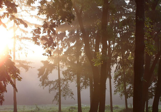 Что посмотреть: ТОП достопримечательностей Полтавской области (часть 2)