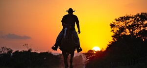 Этот хоть в одежде: на Вырлице пьяный мужик прискакал за пивом верхом на коне