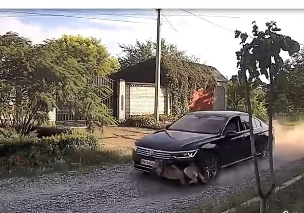 Мужчина, который гонялся на авто за собакой в Подольске, оказался сыном экс-депутата. Фото: скриншот видео