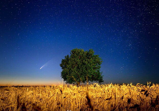Увидим еще нескоро: одесситы продолжают наблюдать за летящей кометой. Фото: Юрий Бершадский