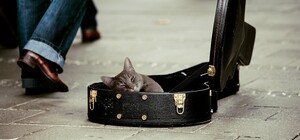 Стоит ли игра свеч: сколько зарабатывают уличные музыканты в Днепре