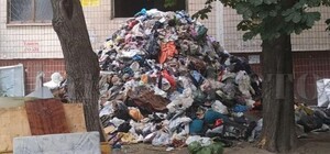 Крысы рыли норы: из квартиры на Тополе мусор вывозят КАМАЗами
