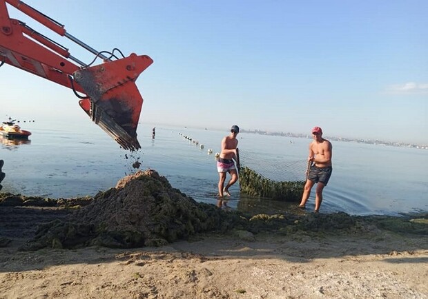 С пляжа в Одессе вывезли 16 грузовиков гниющих водорослей Фото: КП «Побережье»