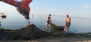 Вторая чистка: с одесского пляжа вывезли 16 грузовиков гниющих водорослей 
