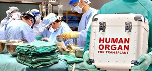 В Полтаве будут делать операции по трансплантации почек: где и сколько стоит