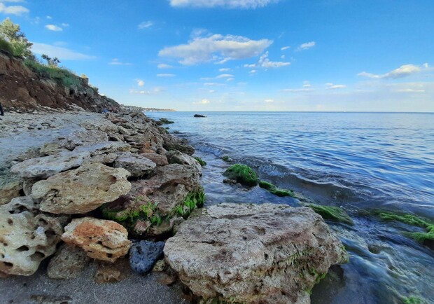 Получи ответ: как прошла проверка воды на одесских пляжах. Фото Марины Повертайло
