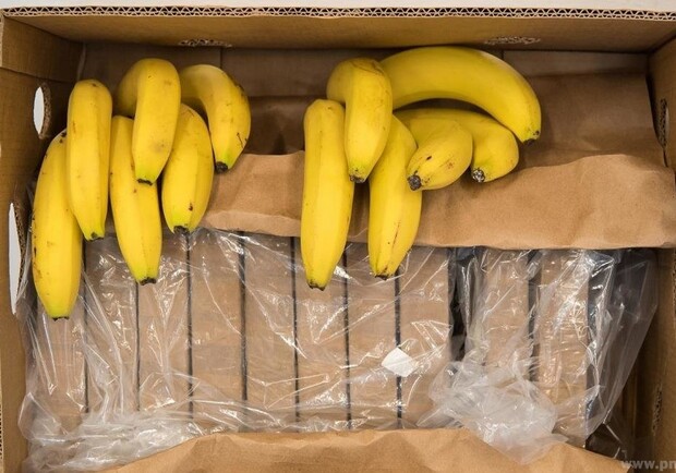 56 кг кокаина вместо бананов: в одесский порт прибыл груз из Эквадора. Фото из открытых источников