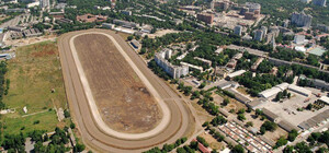 Одесский ипподром не прошел проверку: лошадей содержат в плохих условиях