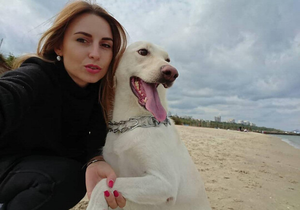 Нападение собаки на волонтера в Одессе: животное усыпили. Фото иллюстративное 