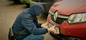 Перевір свої: у львівському парку виявили схованку з автомобільними номерами