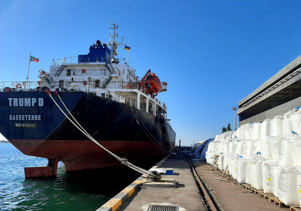 В порту под Одессой хранится опасный груз Фото: Думская