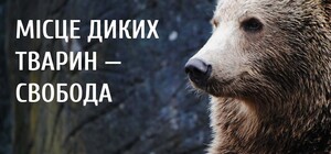 Скандал в Одесском цирке: на представлении выступили запрещенные дикие животные
