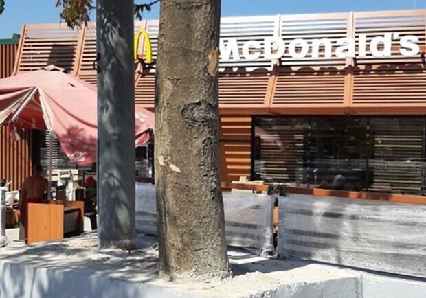 Строители одесского "МакДональдса" раскопали дерево после жалоб горожан: его хотели оставить залитым в бетон. Фото: Maksym Vasalatiy