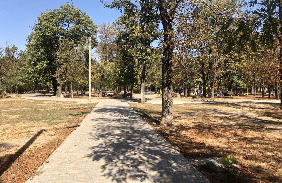 Бывшее кладбище и ботанические памятники: чем интересен сквер Старостина в Одессе  - фото