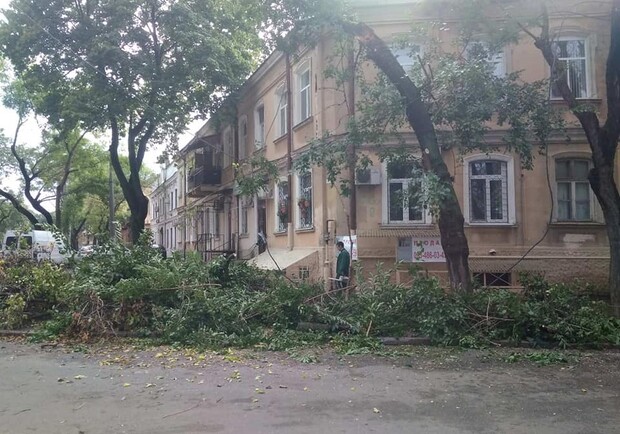 Горы веток и упавшие деревья: чем закончился шторм в Одессе. Фото: "Горзелентрест"