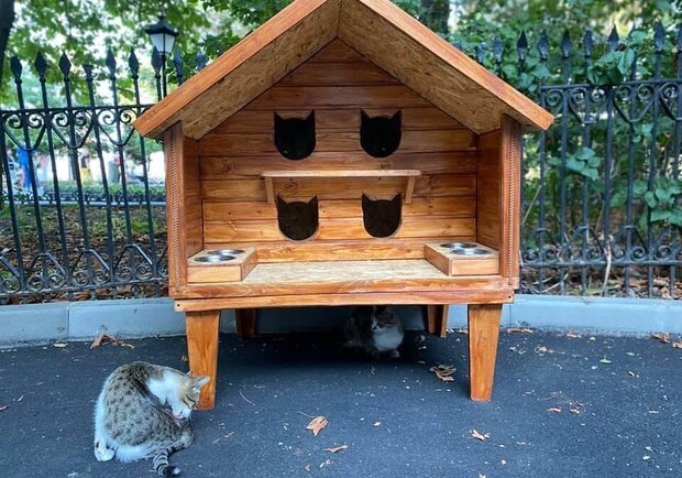 В Запорожье установили "кошкин дом". Фото: @koshkin_domik_zp