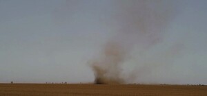 В Одесской области пронесся пылевой смерч: смотри видео 