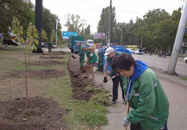 В Одессе учителя высадили почти сотню деревьев (ФОТО)