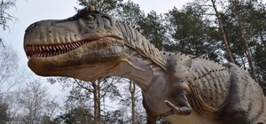 Наживалась на детях: в Зеленом Гае женщина продавала бесплатные билеты на динозавров