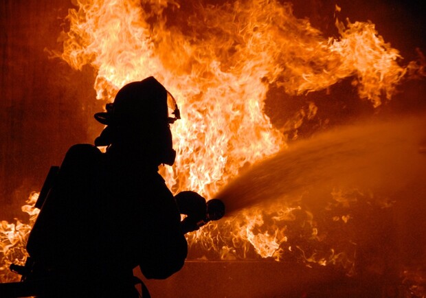 Масштабный пожар в Преображенском парке: смотри видео. Фото из открытых источников