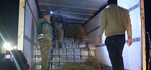 Не голка в сіні: львівські прикордонники виявили схрон із 5 тисячами пляшок горілки