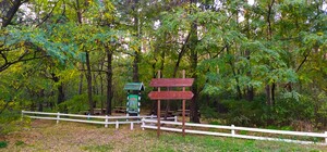 Для будущих пикников: в Дарницком лесу обновили две зоны отдыха