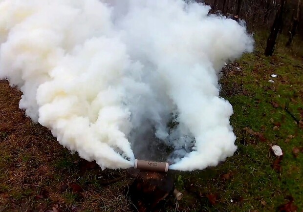Выборы со спецэффектами: в здании теризбиркома нашли дымовую шашку. Фото: pinterest