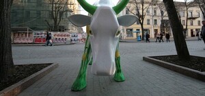 Закрытие Стейкхауса: в Одессе попрощались с легендарной коровой Роминой и устроили траур 