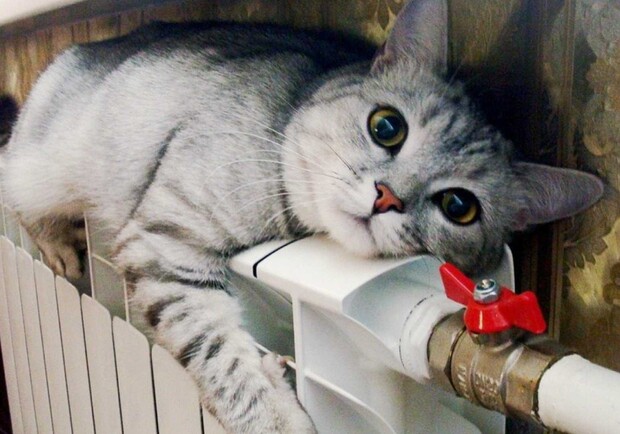 В Одессе работают почти все котельные: что делать, если батареи не начали теплеть. Фото: pinterest