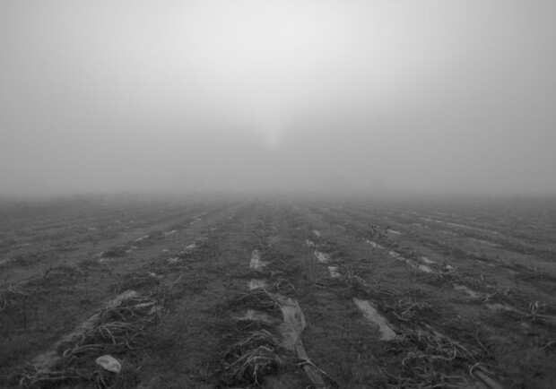 Одессу и область сегодня, 19 ноября, накрыл густой туман. Фото: nataliabazilenco.com