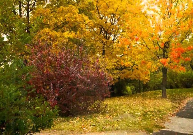 Осеннее рандеву - фото