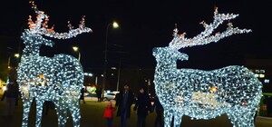 Для новогоднего настроения: на Черемушках появились светящиеся олени  