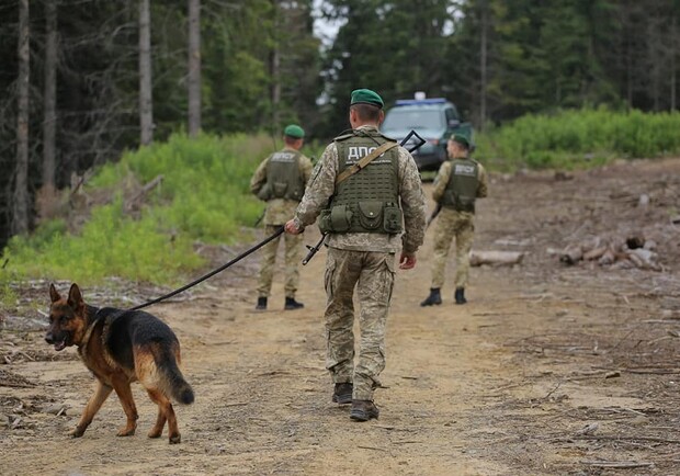 В Одесской области отряд пограничников атаковала лисица. Фото: Государственная пограничная служба