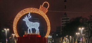Фотофакт: в центре Харькова появился светящийся олень