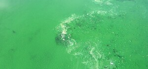 Прорыв в центре Одессы: по улице потекла зеленая вода