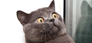 Так себе шоу-программа: в Одессе часами крутился строительный кран