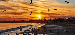 Холодные закаты и рассветы: посмотри, как прекрасна Одесса