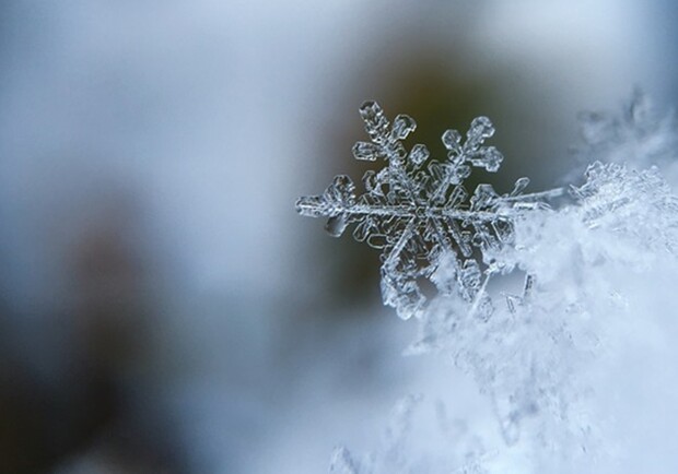 Привет, зима: в Одессе пошел первый снег - фото