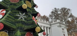 Красота: в Одессе установили главную елку города