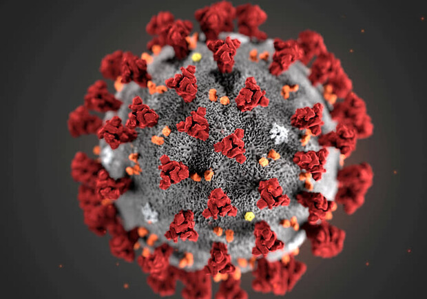 В Украинезафиксировали первый случай заболевания новым штаммом коронавируса. Фото: MAM / CDC / Reuters.