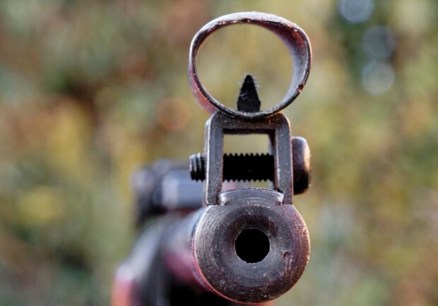 В Лиманском районе две шестилетние девочки получили огнестрельные ранения