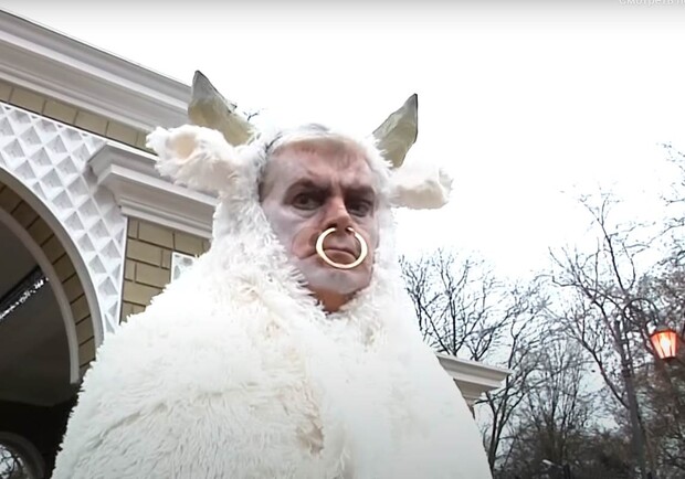 Одесский зоопарк выпустил новый новогодний клип. фото: кадр из клипа