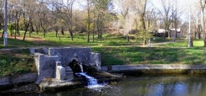 Новогодний подарок: в пруд Дюковского парка выпустили 100 килограмм рыбы 