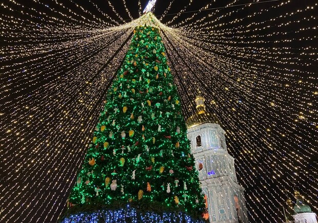 В Украине запустили сайт, который позволяет рассмотреть главные елки разных городов. Фото: 112 Украина.