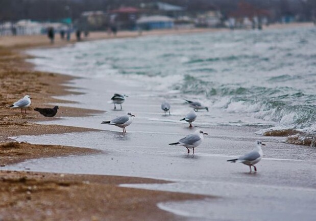 Полюбуйся: как красиво на одесском побережье в декабре. Фото Дмитрия Дьяченко