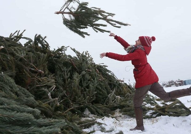 Куда в Одессе приносить новогодние деревья после праздников 2021 года