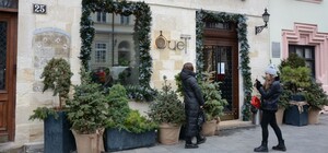 Нові місця для фотосесій: оголошено переможців конкурсу на найкраще оформлення вітрин у Львові