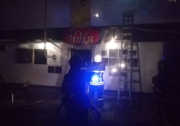 На поселке Котовского горело заброшенное кафе, в котором держали домашнюю птицу. Фото: ГСЧС